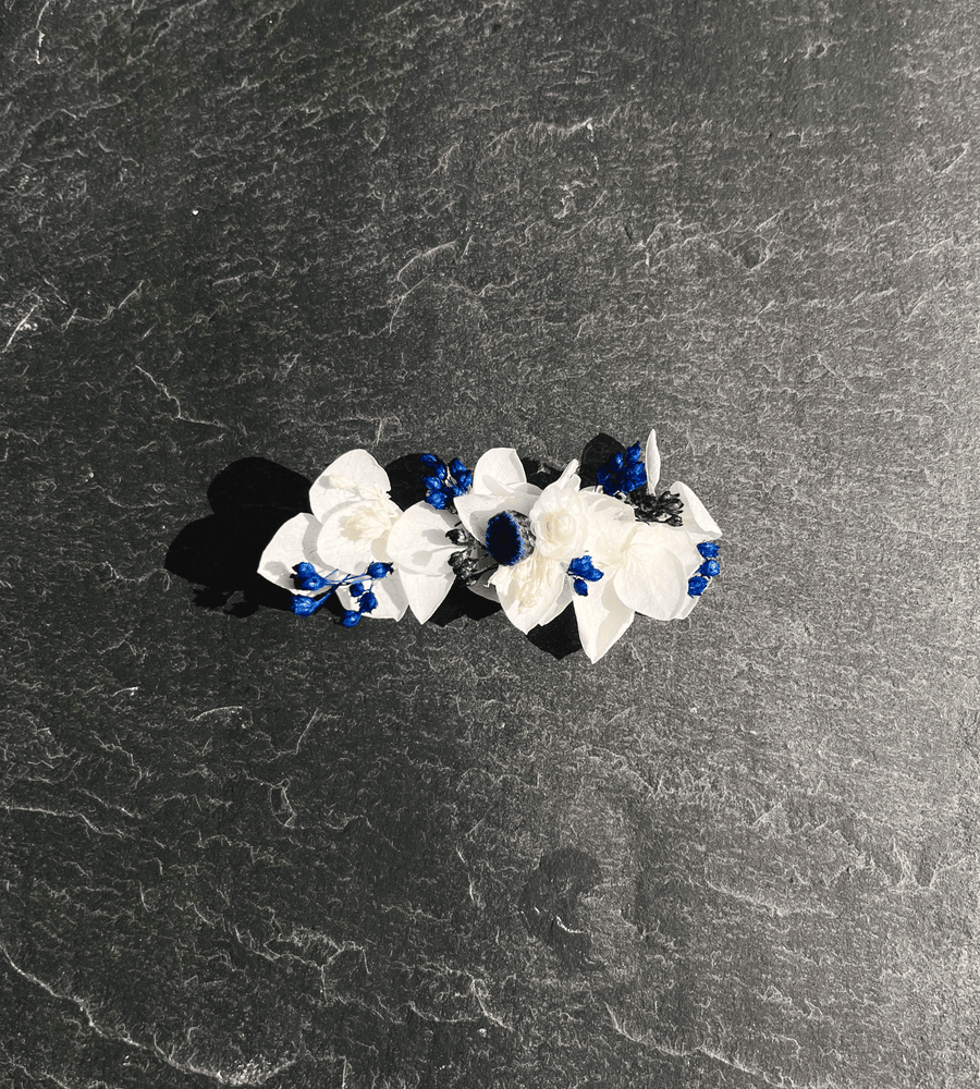 Pince crocodile bleu et blanche