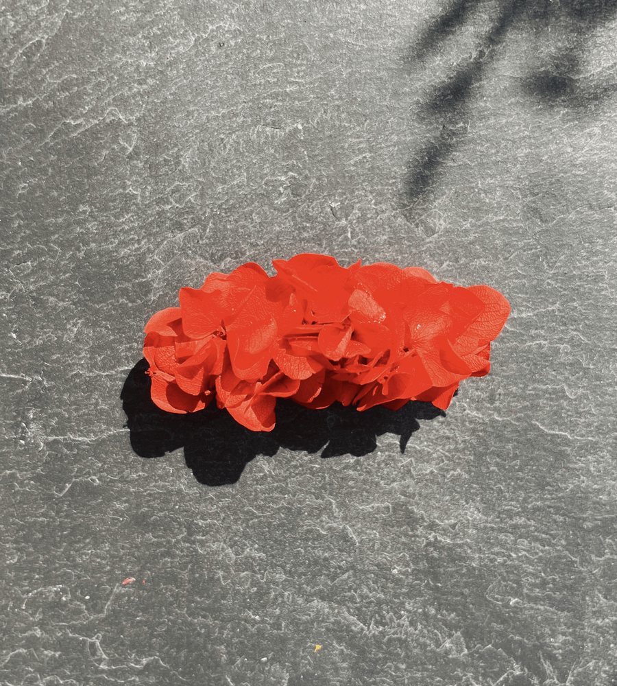 Pince crocodile rouge