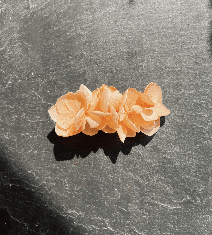 Pince crocodile pêche